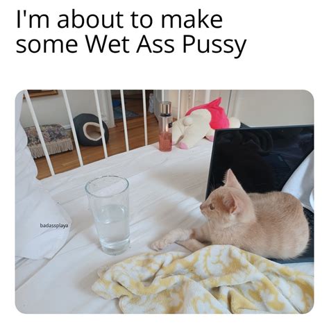 wet pussy meme|PornMemes 